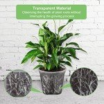 GREENPARA Transparent Garden Pots with Saucer Set