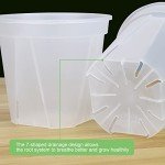GREENPARA Transparent Garden Pots with Saucer Set