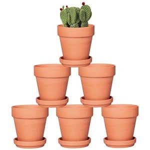6-Pack 4-Inch Terracotta Pots with Saucers