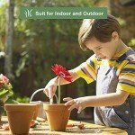 6-Pack 4-Inch Terracotta Pots with Saucers