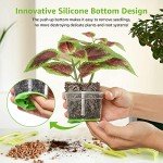 30 Packs of 4" Clear Nursery Pots with Bases