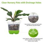 30 Packs of 4" Clear Nursery Pots with Bases