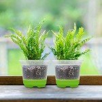 30 Packs of 4" Clear Nursery Pots with Bases