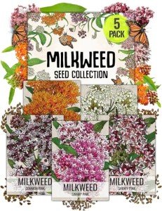 Milkweed Seed Pack Collection for Monarchs - 5 Varieties