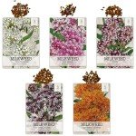 Milkweed Seed Pack Collection for Monarchs - 5 Varieties