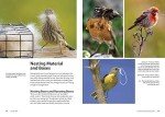 Attract and Identify 196 North American Birds