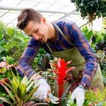 3-Piece Garden Tool Set with Non-Slip Grip