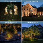Brass LED Landscape Spotlights - 12 Pack