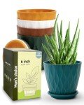 Multicolor 6 Inch Indoor Planter Pots - 5 Pack