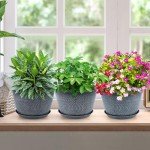 10-Inch Gray Flower Pots with Drainage, 3-Pack