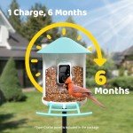 Netvue Smart Bird Feeder for Backyard Watching