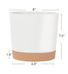 2 Pack 8-Inch Indoor Plastic Planters with Saucer