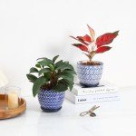 Vintage Blue Ceramic Plant Pots Set of 4