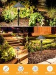 ZUCKEO 12-Pack LED Pathway Lights for Gardens