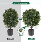 Set of 2 21" Artificial Boxwood Ball Trees