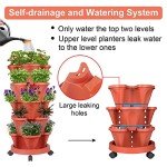 5-Tier Stackable Vertical Planter for Herbs & Flowers
