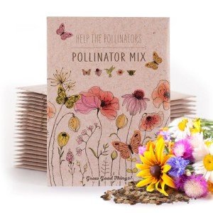 Bentley Seeds Pollinator Wildflower Seed Mix Packs