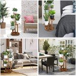 5-Tier Wood Plant Stand for Indoor Gardens