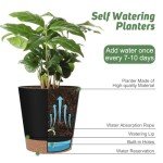 Indoor Self-Watering Planters Set - 6 Pots Black