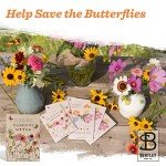 Bentley Seeds Pollinator Wildflower Seed Mix Packs