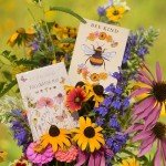Bentley Seeds Pollinator Wildflower Seed Mix Packs