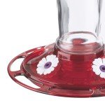 Ruby Hummingbird Feeder with 4 Feeding Stations