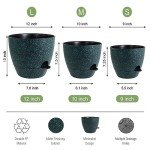 Large Self-Watering Pots for Indoor and Outdoor Plants