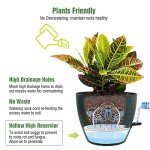 Large Self-Watering Pots for Indoor and Outdoor Plants