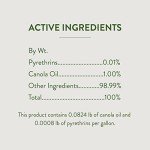 Garden Safe 32-oz Insect Killer Trigger Spray