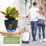 Large Self-Watering Pots for Indoor and Outdoor Plants