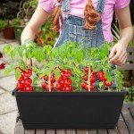 12-Pack 17-Inch Rectangle Planter Boxes with Trays