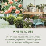 Garden Safe 32-oz Insect Killer Trigger Spray