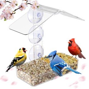 Window Bird Feeder with Strong Suction Cups