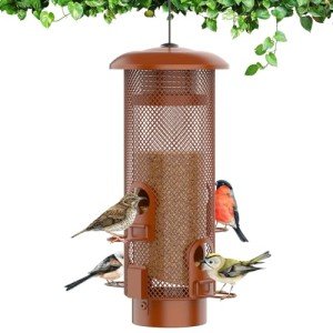 Squirrel Proof Bird Feeder with Large Capacity