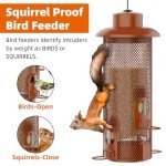 Squirrel Proof Bird Feeder with Large Capacity