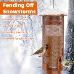 Squirrel Proof Bird Feeder with Large Capacity