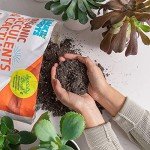Organic Succulent & Cacti Mix - 6 Quart