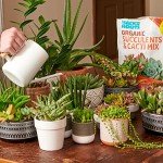 Organic Succulent & Cacti Mix - 6 Quart