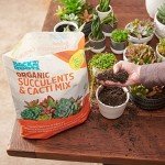 Organic Succulent & Cacti Mix - 6 Quart