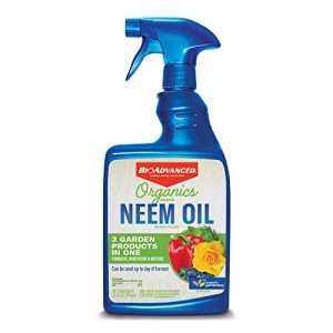 Neem Oil Ready-to-Use, 24 oz by BioAdvanced