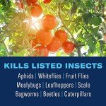 Neem Oil Ready-to-Use, 24 oz by BioAdvanced