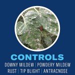 Neem Oil Ready-to-Use, 24 oz by BioAdvanced