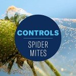 Neem Oil Ready-to-Use, 24 oz by BioAdvanced