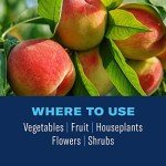 Neem Oil Ready-to-Use, 24 oz by BioAdvanced