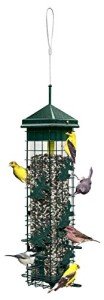 Squirrel-Proof Bird Feeder with 6 Feeding Ports