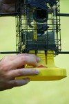 Squirrel-Proof Bird Feeder with 6 Feeding Ports