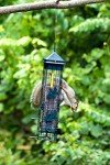 Squirrel-Proof Bird Feeder with 6 Feeding Ports