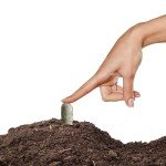 Jobe's Tomato Plant Fertilizer Spikes, 18 Count