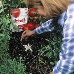 Jobe's Tomato Plant Fertilizer Spikes, 18 Count