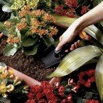 Heavy-Duty Garden Hand Tools Set with Trowel